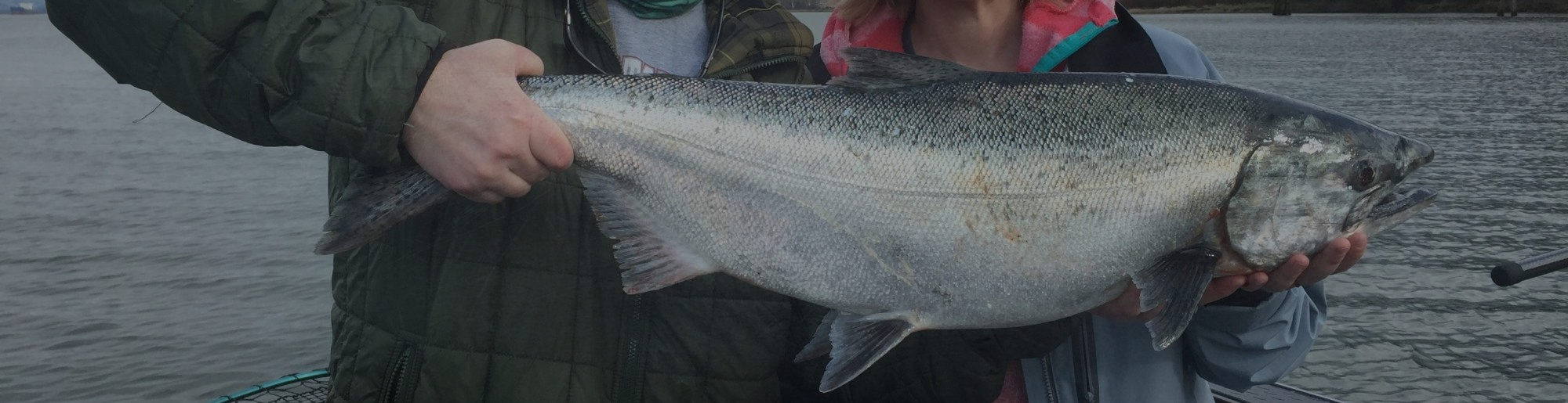 Willamette River Fishing Reports | Fishing Info | Guide Services | News